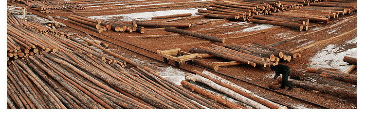 篮球馆地板厂家