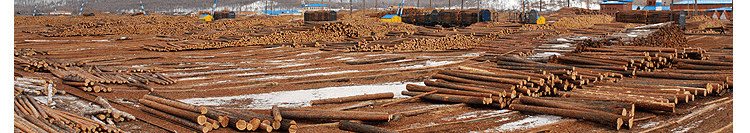 篮球地板是什么材质