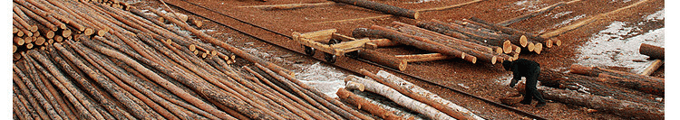 篮球地板是什么材质的好