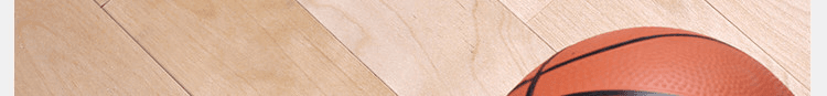篮球场馆运动木地板品牌