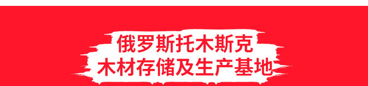 篮球木地板的品牌