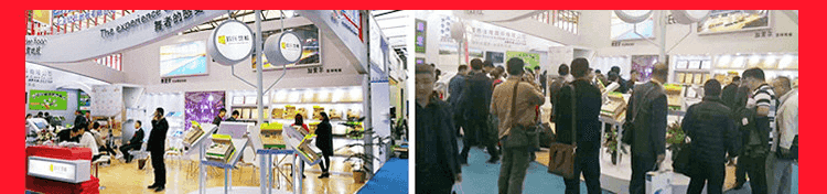 篮球木地板品牌推荐