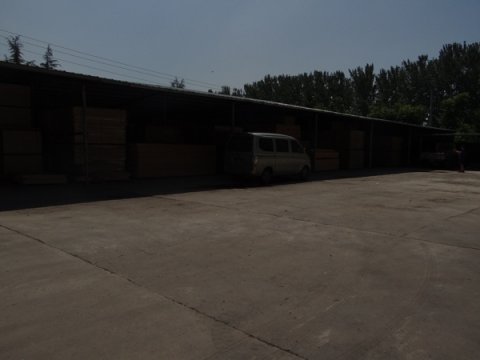 运动木地板厂家为您介绍体育木地板结构