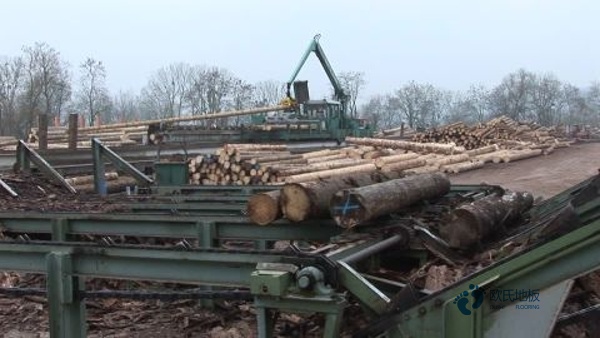 寻求运动场地地板品牌哪个好