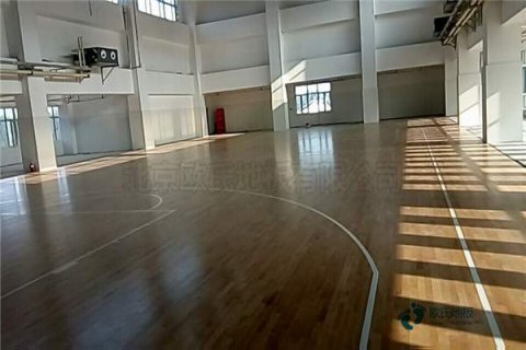大环境下运动木地板行业昂首跃进