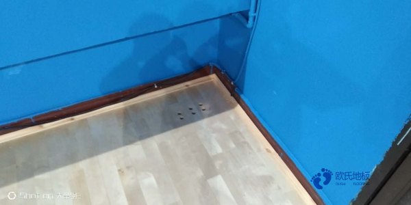 枫木运动地板的特点是什么？