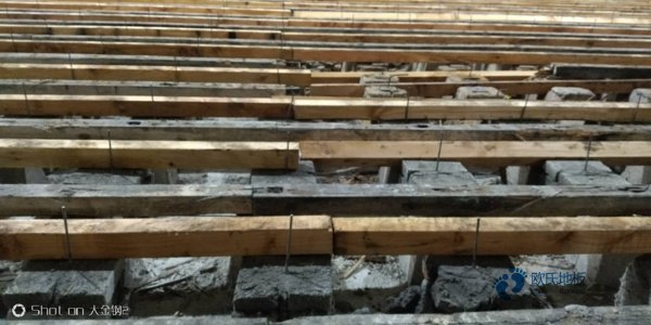 运动木地板产生价格差异原因分析