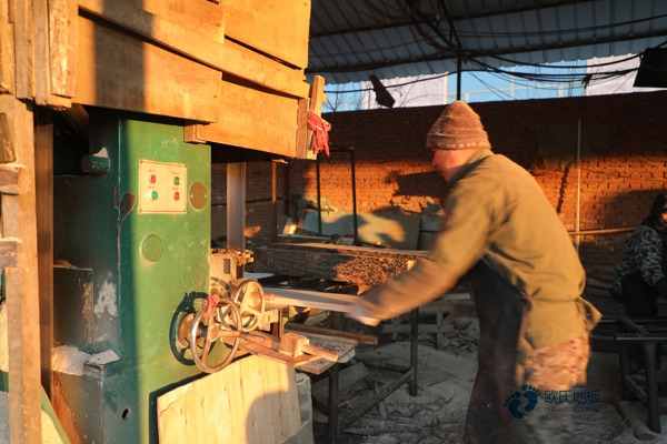 运动木地板不同品牌具有的共性