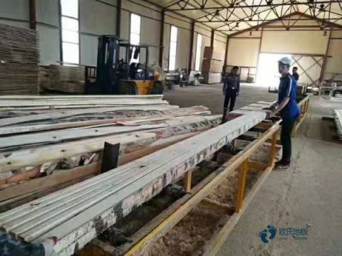 体育馆地板品牌哪个好