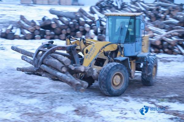 校园运动篮球木地板较低价格