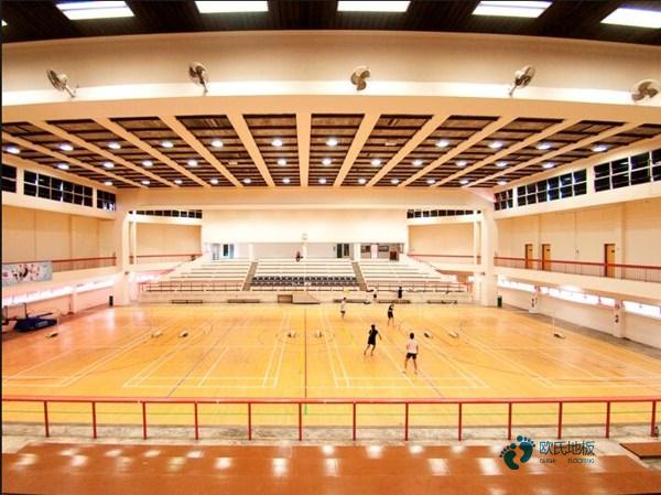 国标运动篮球木地板价格低