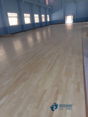 运动型木地板品牌3