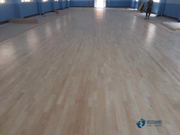 运动型木地板品牌2
