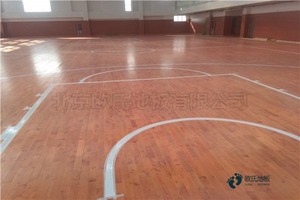 运动木地板领导品牌2