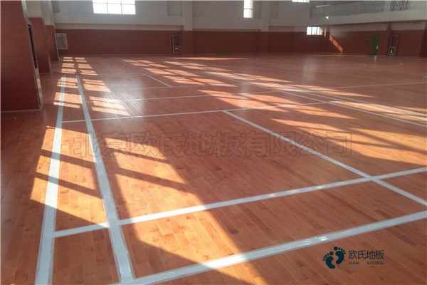 运动木地板领导品牌1