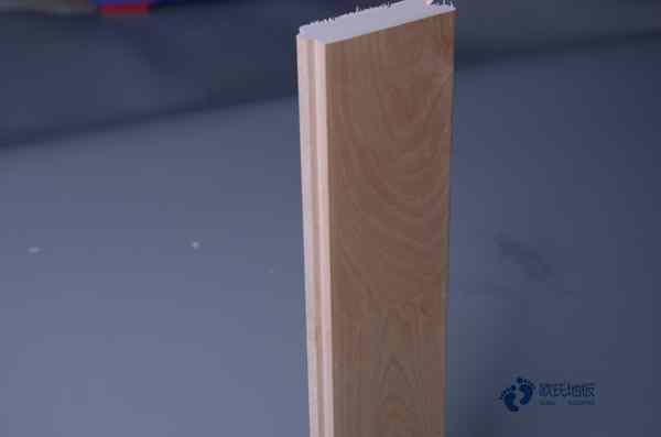 学校运动篮球木地板哪个牌子性价比高