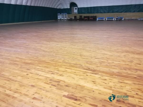 运动木地板博纳品牌2