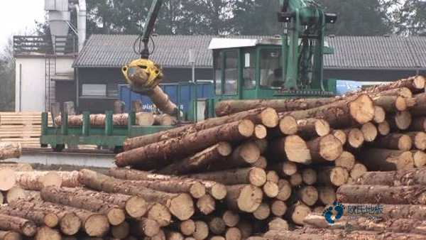 篮球场木地板施工工艺1