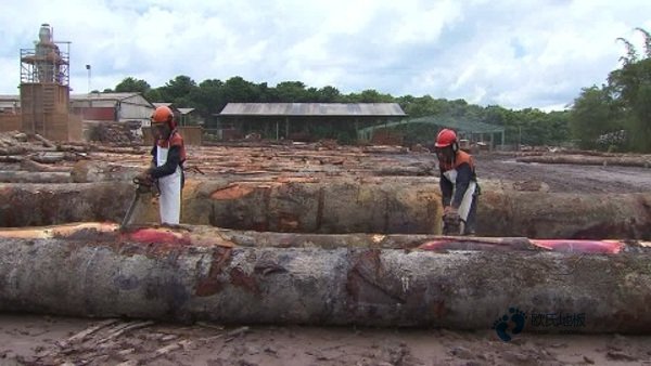 篮球场木地板施工技术要求2