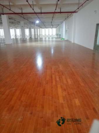 枫桦木运动篮球木地板价钱