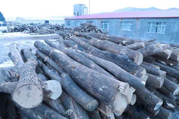 校园运动篮球木地板价格多少钱