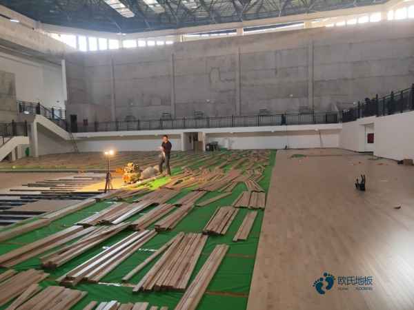 体育篮球木地板的价格2