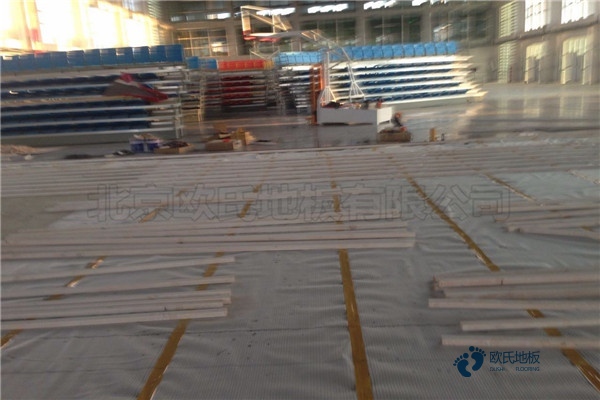 运动木地板价格上涨2