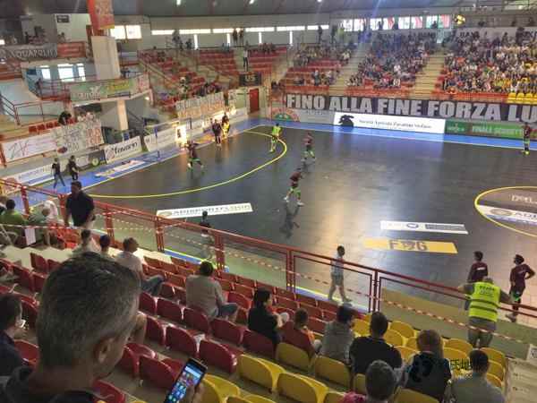 常用运动场地板较好的3