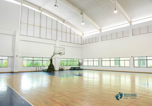 国产运动篮球木地板哪个牌子性价比高
