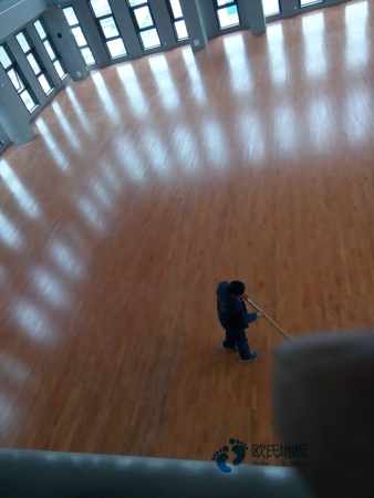 枫桦木运动篮球木地板价格一般多少钱一平方米